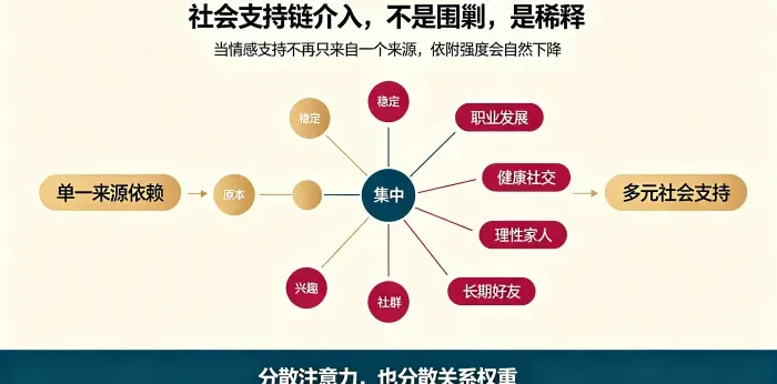 **社会支持稀释路径图** 展示从单一来源依赖转向职业发展、健康社交、兴趣社群等多元支持，说明分离介入的核心是稀释而非围剿。