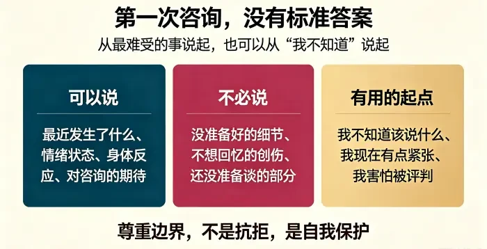 **首次咨询可以说什么与不必说什么信息图** 用三栏对照说明来访者可以从具体困扰、情绪状态或 “我不知道该说什么” 开始,同时有权暂不谈论未准备好的细节和创伤。