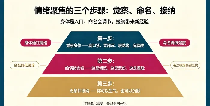 **情绪聚焦三个步骤信息图** 用觉察、命名、接纳三步骤说明情绪聚焦工作路径,强调关注身体是入口,准确命名会调节情绪强度,无条件接纳带来新关系经验。